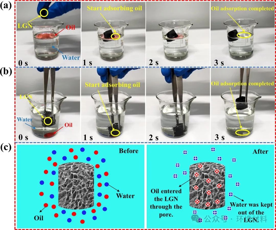 今日推送东北大学SPT：磁性丝瓜络/石墨烯/CuFe2O4海绵用于高效油水分离