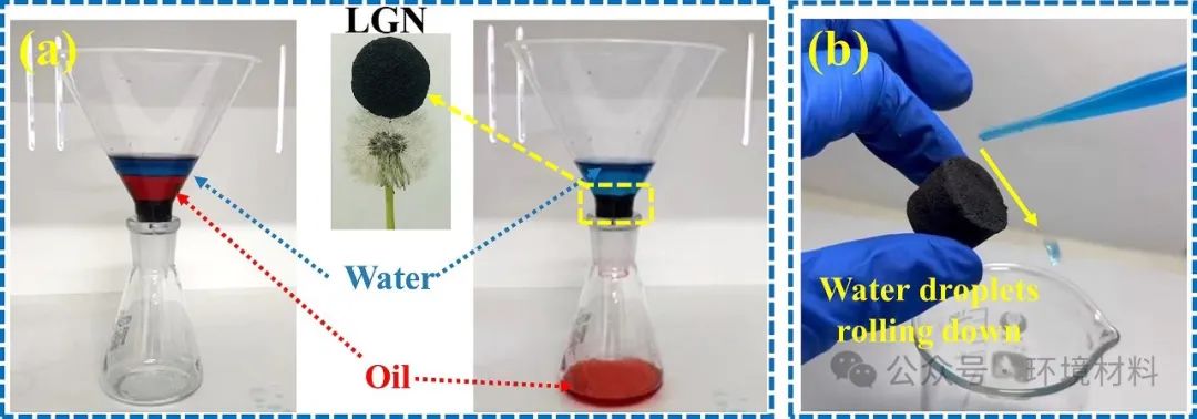 今日推送东北大学SPT：磁性丝瓜络/石墨烯/CuFe2O4海绵用于高效油水分离