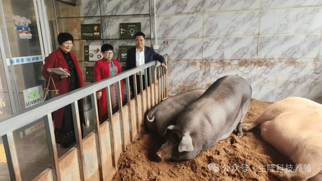 产业融合促发展  闽台基金架桥梁  —  闽台产业融合发展基金与恒力石墨烯集团签署合作协议