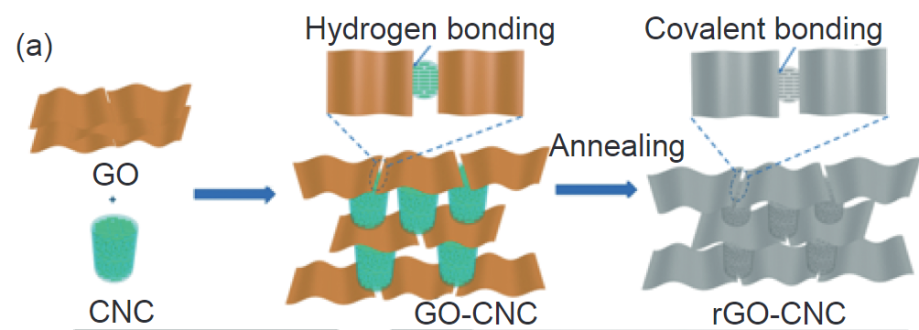 高效散热新方向：石墨烯纸在热界面材料中的应用