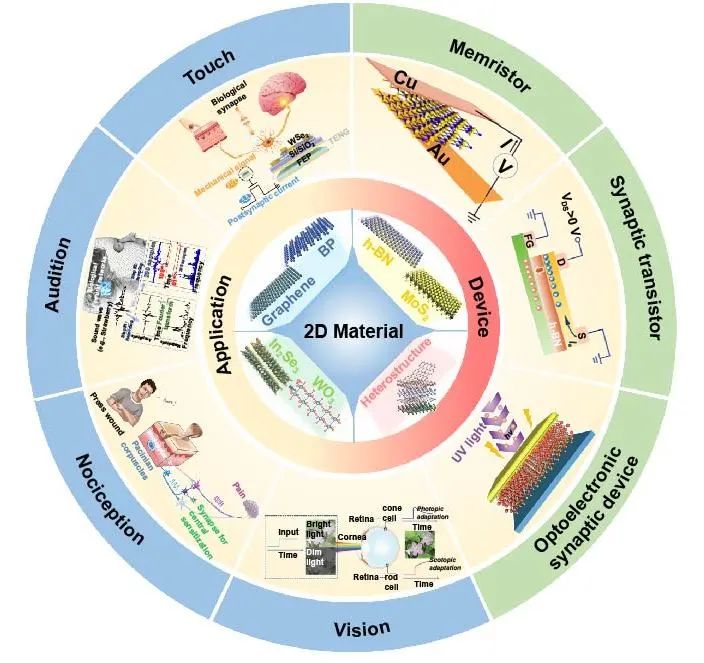 极端制造 | 二维多功能器件：从材料制备到器件制造和神经形态应用