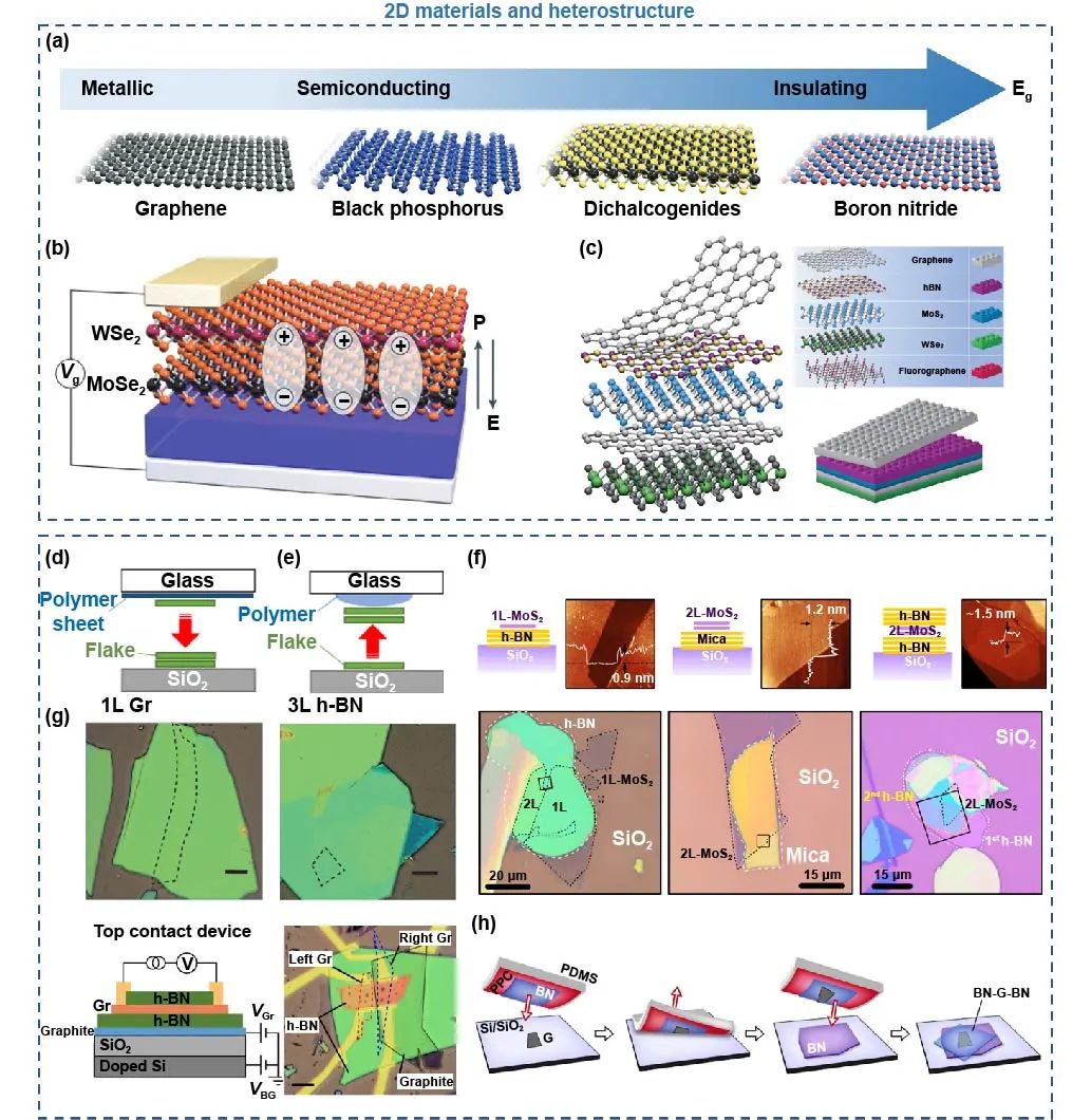 极端制造 | 二维多功能器件：从材料制备到器件制造和神经形态应用