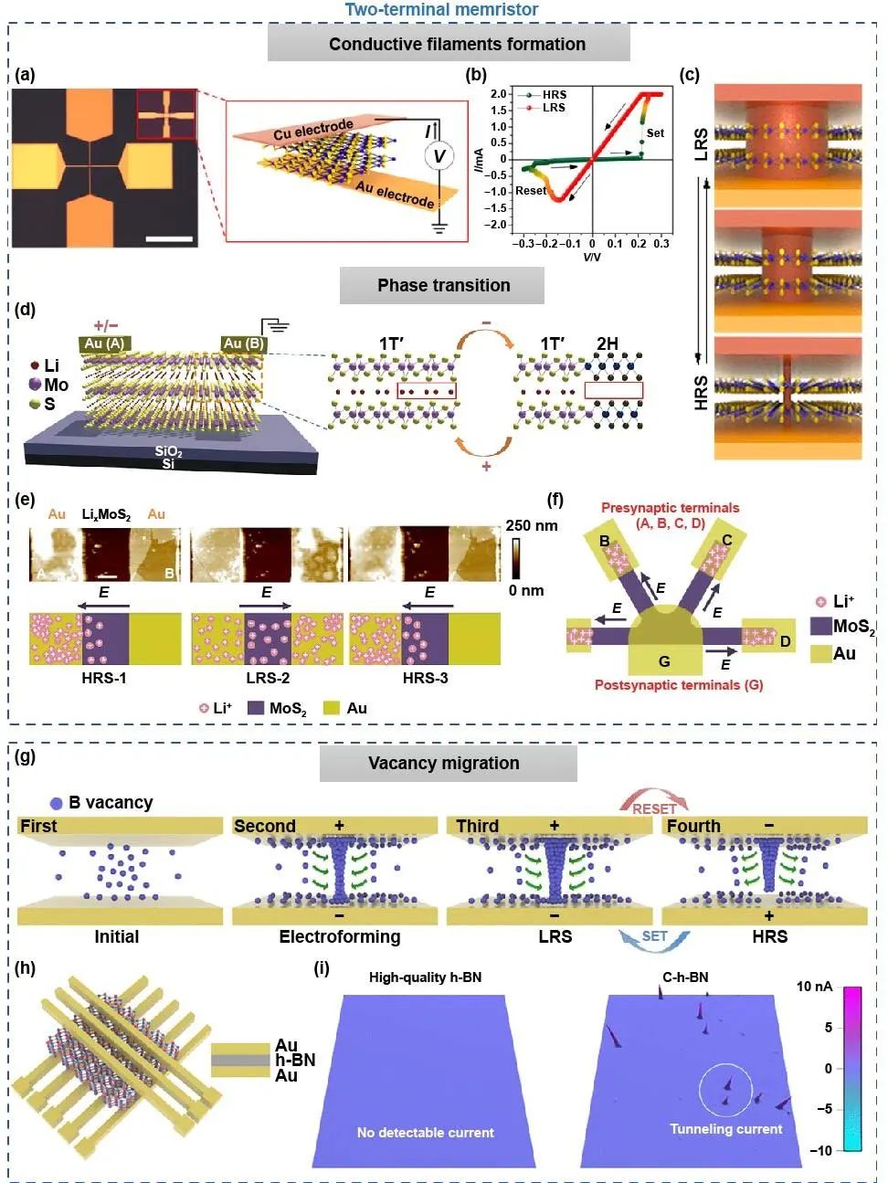 极端制造 | 二维多功能器件：从材料制备到器件制造和神经形态应用