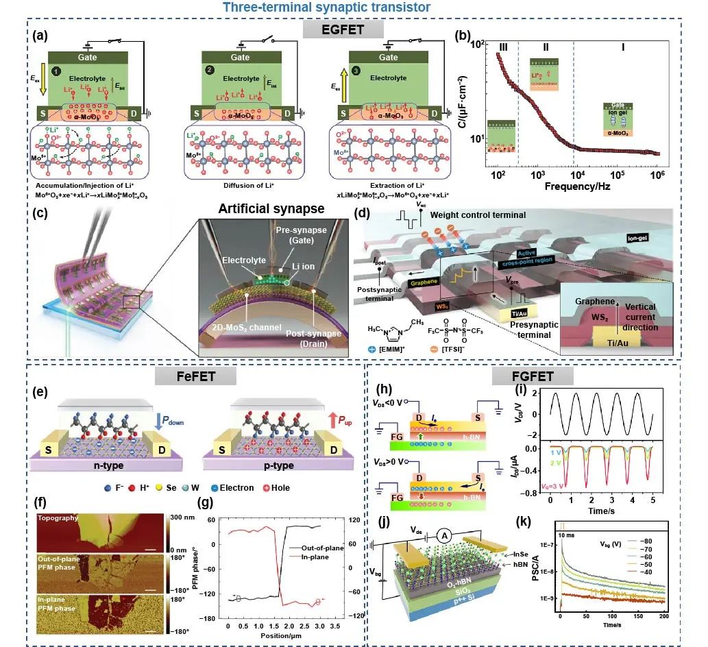 极端制造 | 二维多功能器件：从材料制备到器件制造和神经形态应用