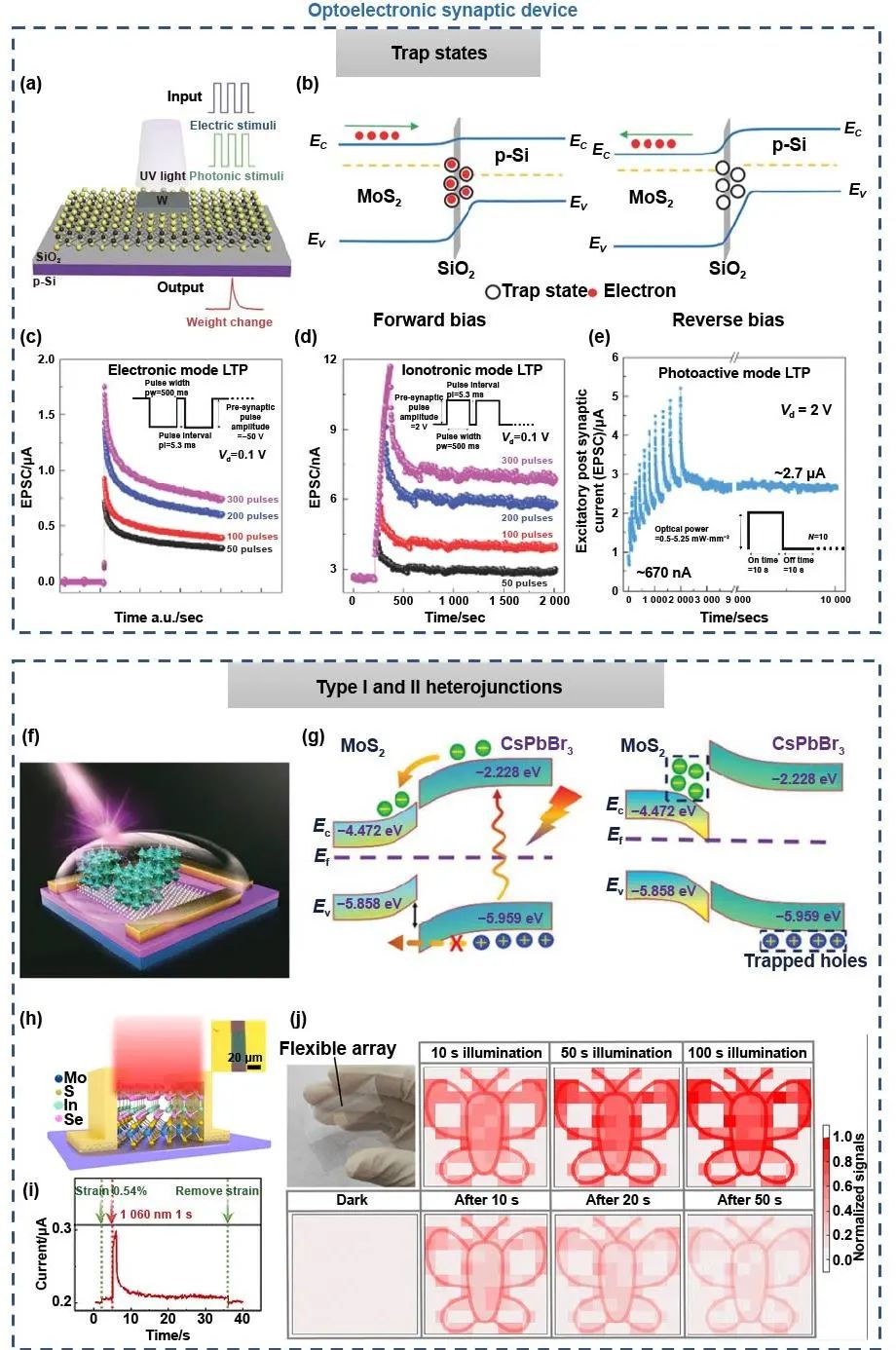 极端制造 | 二维多功能器件：从材料制备到器件制造和神经形态应用