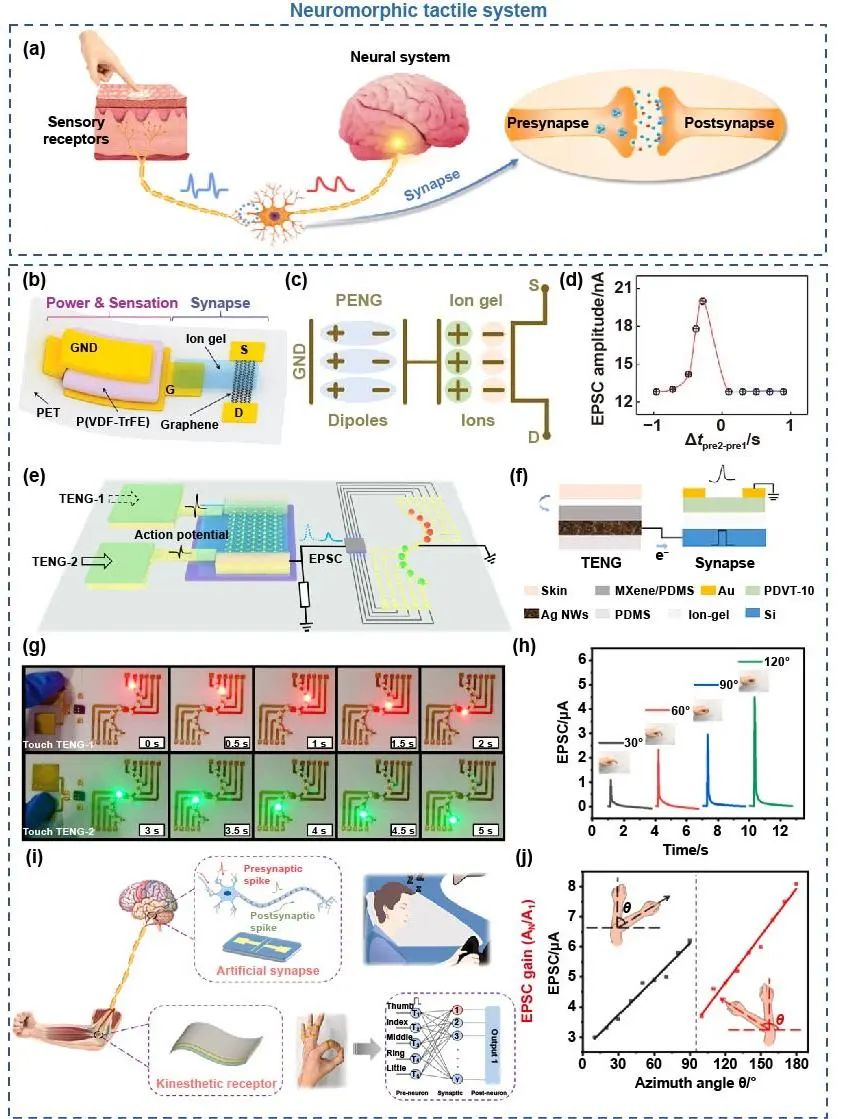 极端制造 | 二维多功能器件：从材料制备到器件制造和神经形态应用