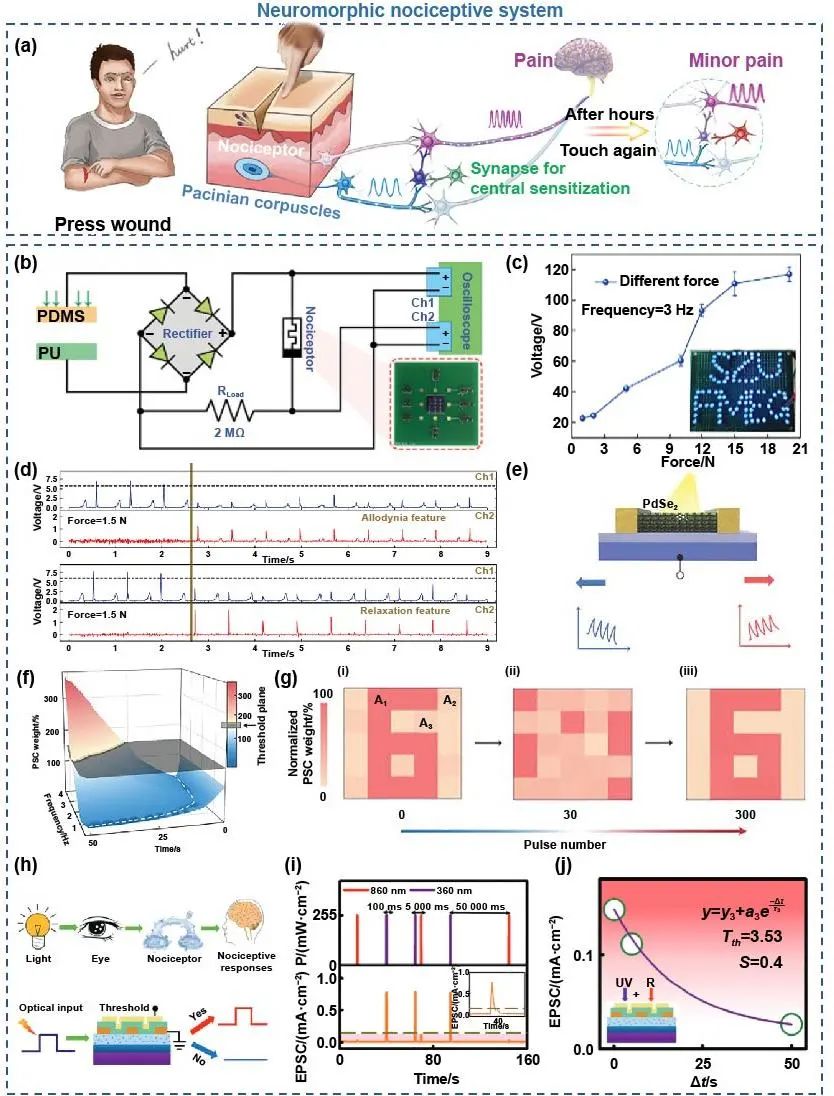 极端制造 | 二维多功能器件：从材料制备到器件制造和神经形态应用