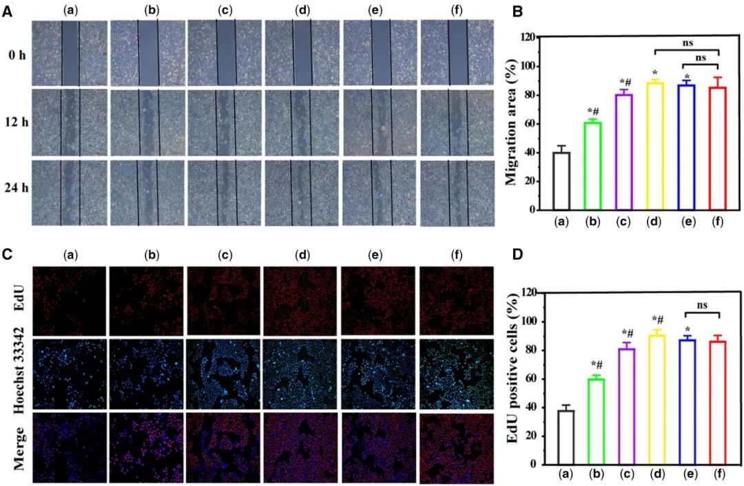 RB 速递 | 天津大学冯亚凯教授和青海民族大学朵兴红副教授团队共同研究成果：聚乙烯亚胺修饰的石墨烯量子点可促进内皮细胞增殖