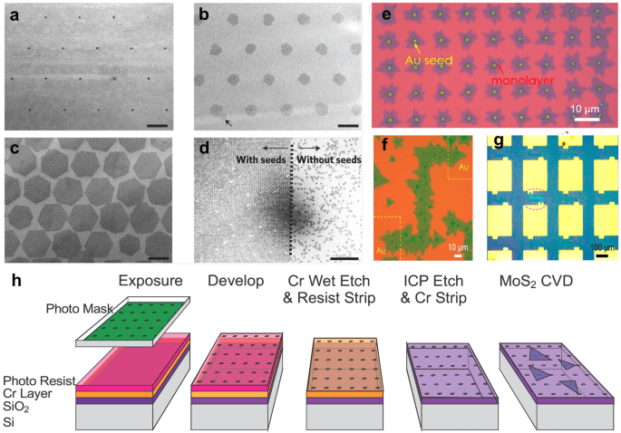 npj 2D Mater. Appl.：一文解读二维材料的增材制造现状！