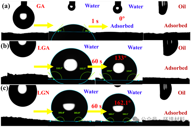 今日推送东北大学SPT：磁性丝瓜络/石墨烯/CuFe2O4海绵用于高效油水分离