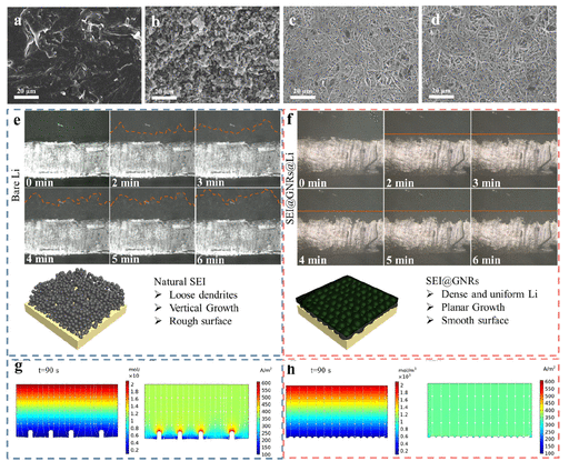 西安交通大学《ACS Nano》：锂阳极石墨烯纳米带上的固体电解质界面复合