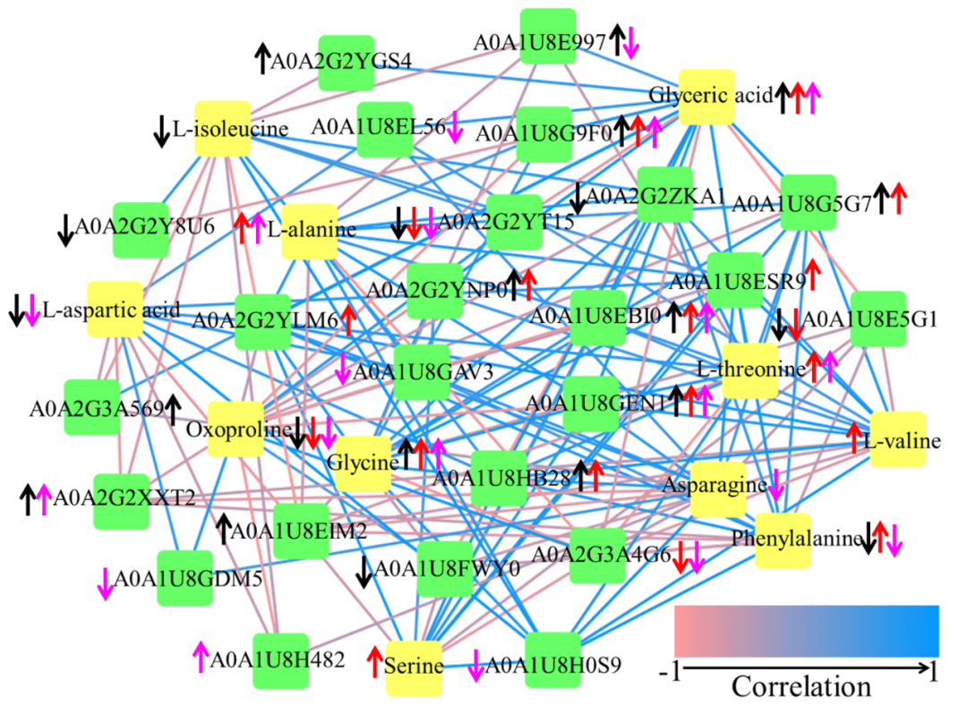 Environmental Science & Technology｜多组学与常规分析鉴定石墨烯基纳米材料的植物毒性和防御机制