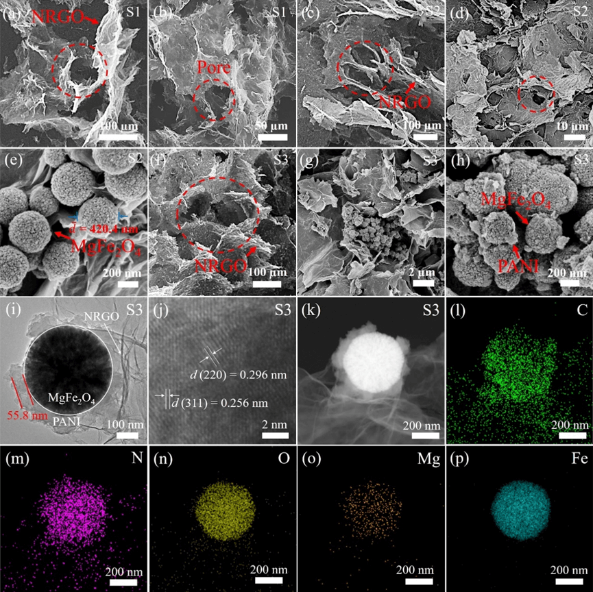 安徽理工大学疏瑞文教授团队：基于结构设计和组分调控实现石墨烯气凝胶电磁吸波性能新突破