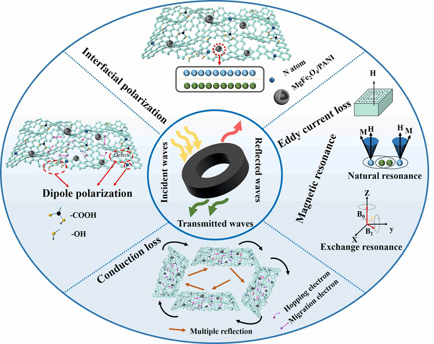 安徽理工大学疏瑞文教授团队：基于结构设计和组分调控实现石墨烯气凝胶电磁吸波性能新突破