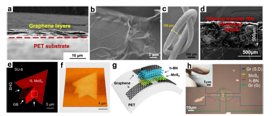 Journal of Nanobiotechnology | 重磅综述，柔性电子器件中二维纳米材料的最新进展！