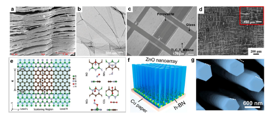 Journal of Nanobiotechnology | 重磅综述，柔性电子器件中二维纳米材料的最新进展！