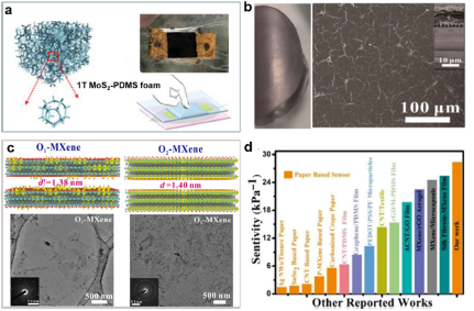 Journal of Nanobiotechnology | 重磅综述，柔性电子器件中二维纳米材料的最新进展！