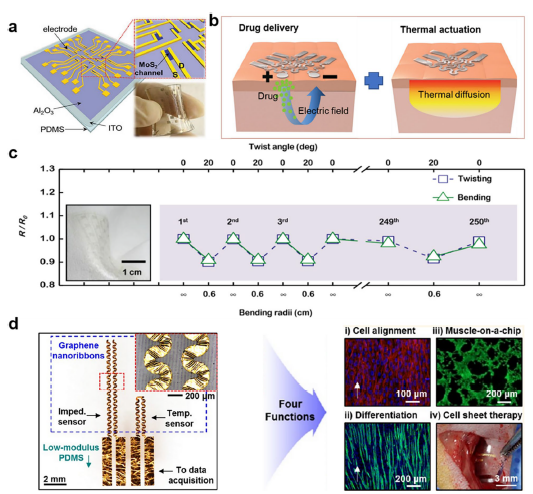 Journal of Nanobiotechnology | 重磅综述，柔性电子器件中二维纳米材料的最新进展！
