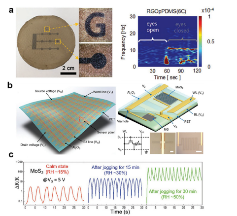 Journal of Nanobiotechnology | 重磅综述，柔性电子器件中二维纳米材料的最新进展！