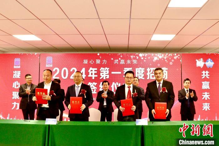 签约8个项目总投资约12亿 福建周宁聚力招商引资和项目建设