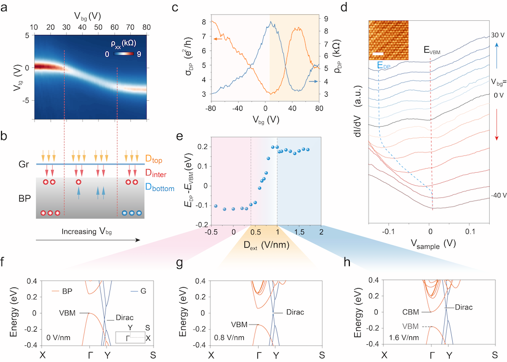 前沿院新型石墨烯电双层晶体管工作发表于Adv. Funct. Mater.