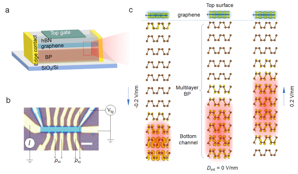 前沿院新型石墨烯电双层晶体管工作发表于Adv. Funct. Mater.