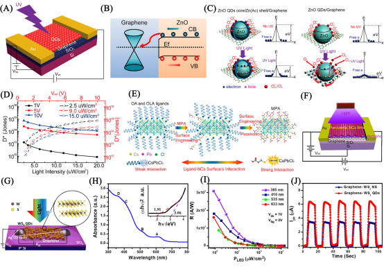 电子科技大学王志明教授、童鑫研究员：胶体量子点/二维材料异质结光电探测器应用