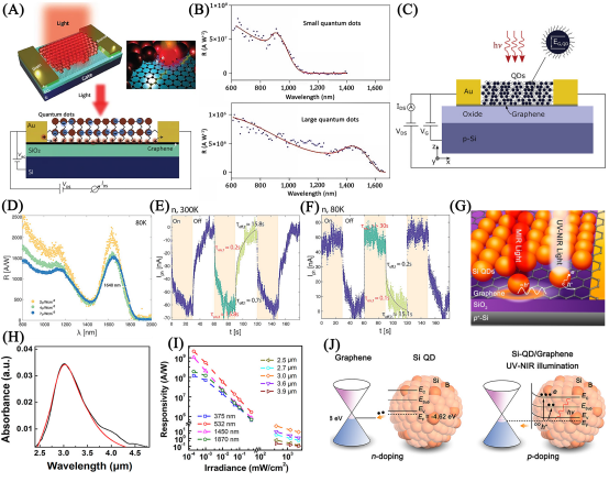 电子科技大学王志明教授、童鑫研究员：胶体量子点/二维材料异质结光电探测器应用