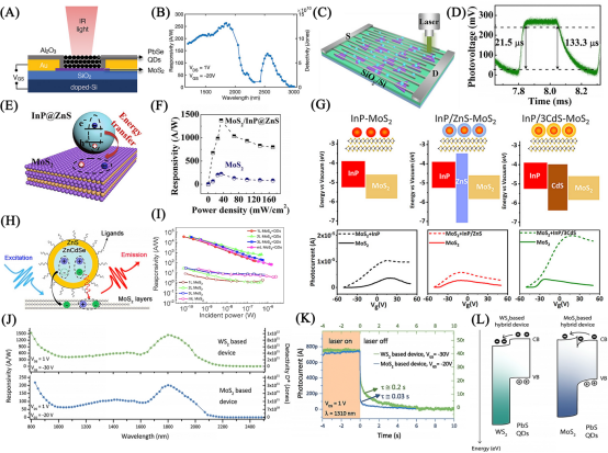 电子科技大学王志明教授、童鑫研究员：胶体量子点/二维材料异质结光电探测器应用