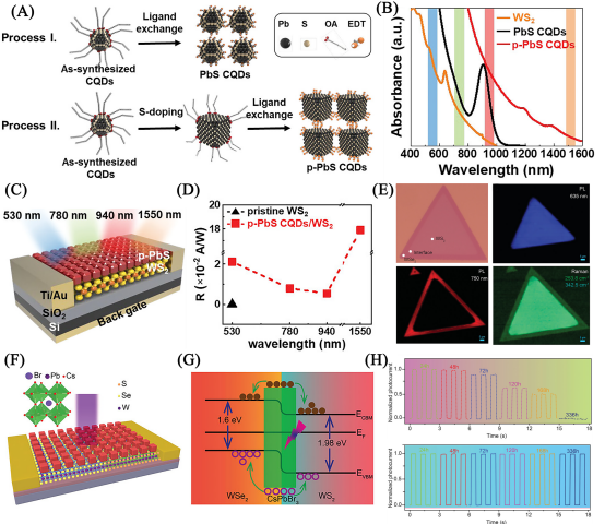 电子科技大学王志明教授、童鑫研究员：胶体量子点/二维材料异质结光电探测器应用