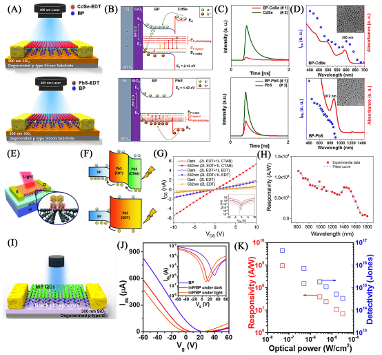 电子科技大学王志明教授、童鑫研究员：胶体量子点/二维材料异质结光电探测器应用