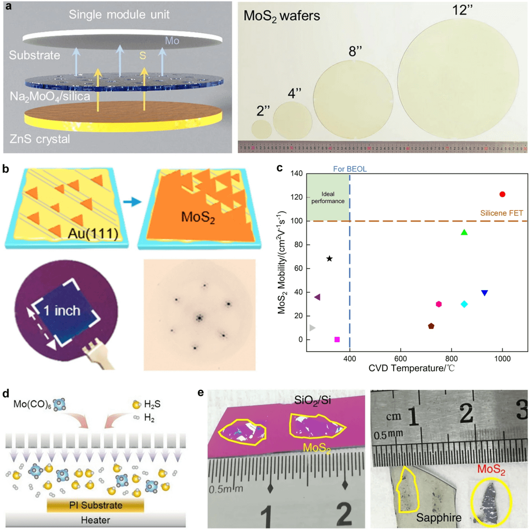 清华大学任天令/田禾等综述：基于二维材料的器件及芯片技术发展路线
