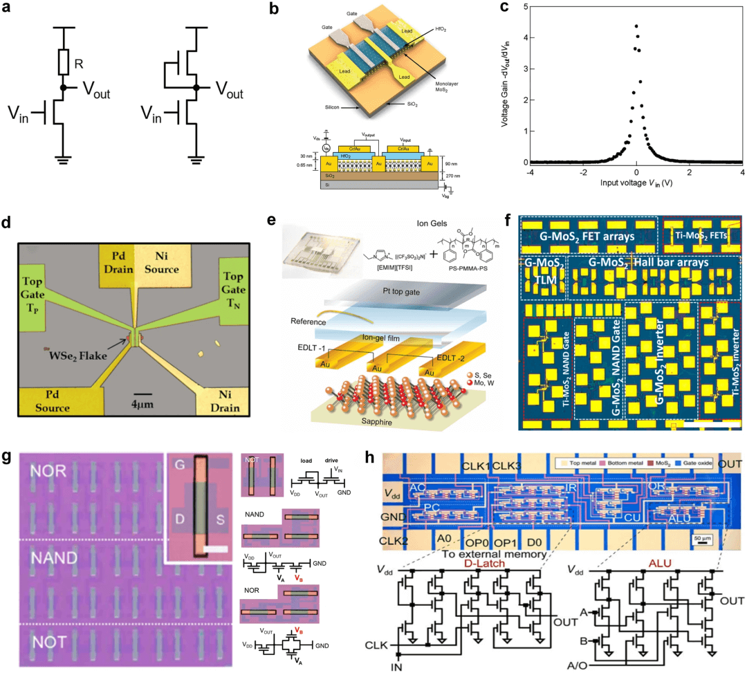 清华大学任天令/田禾等综述：基于二维材料的器件及芯片技术发展路线