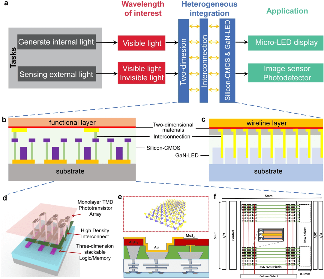 清华大学任天令/田禾等综述：基于二维材料的器件及芯片技术发展路线