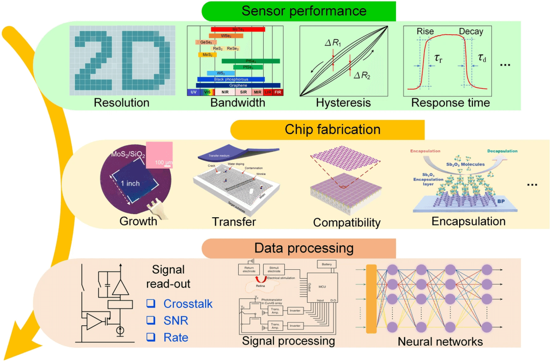 清华大学任天令/田禾等综述：基于二维材料的器件及芯片技术发展路线