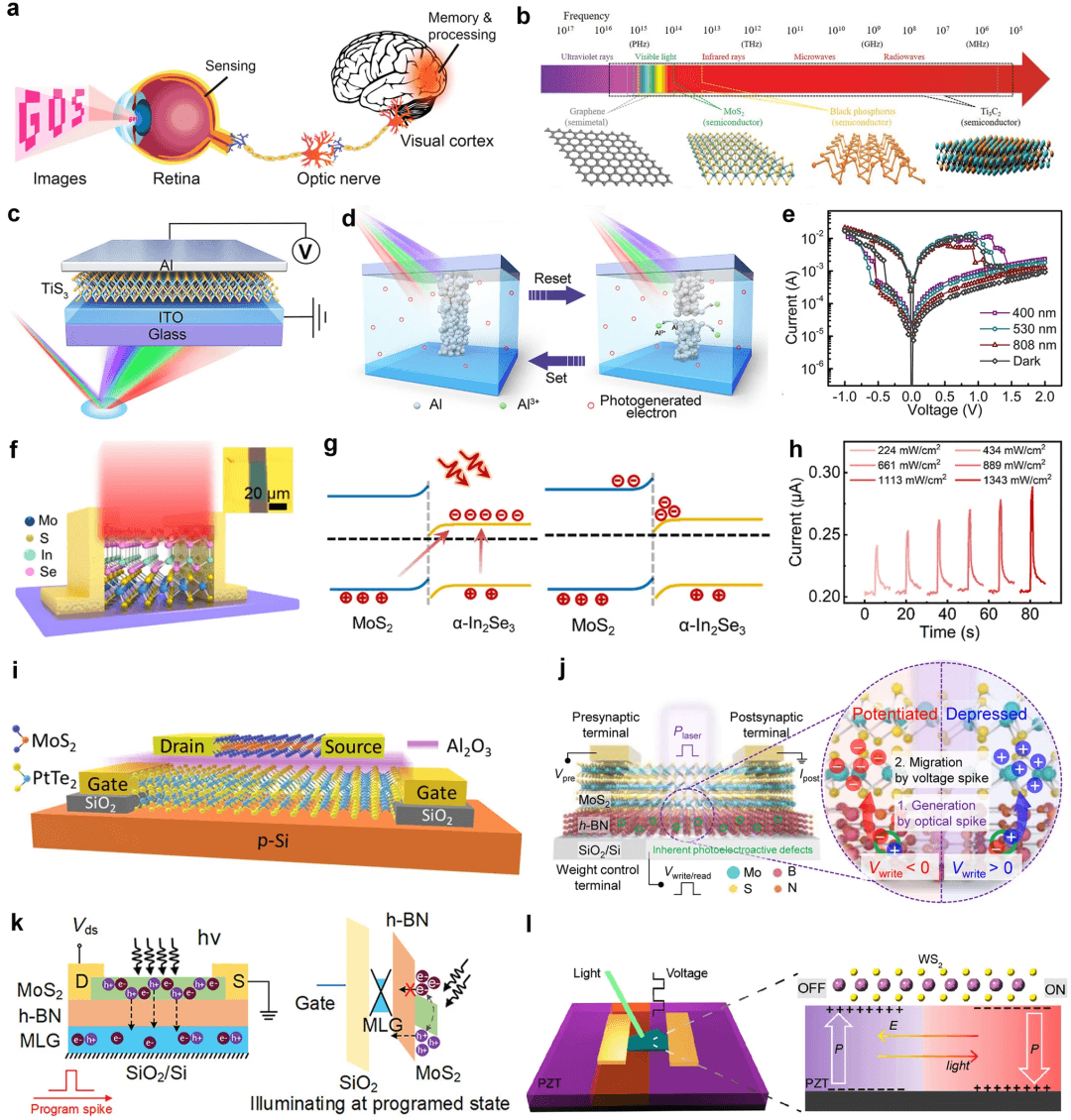 清华大学任天令/田禾等综述：基于二维材料的器件及芯片技术发展路线