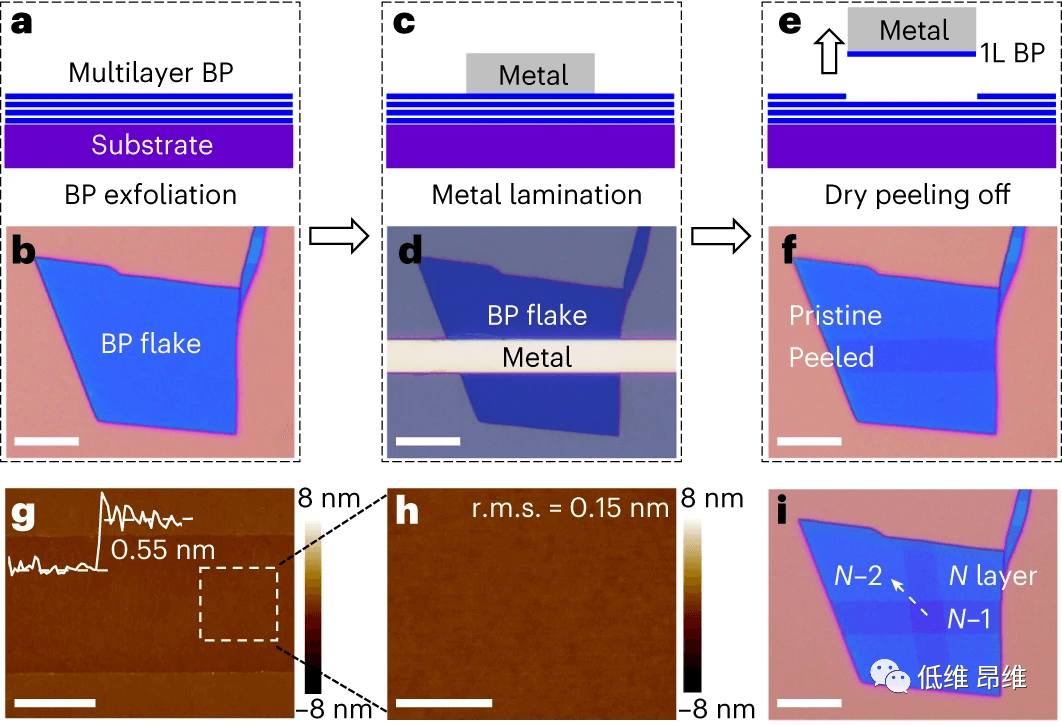 Nature Electronics | 三维凸起接触下的二维晶体管！