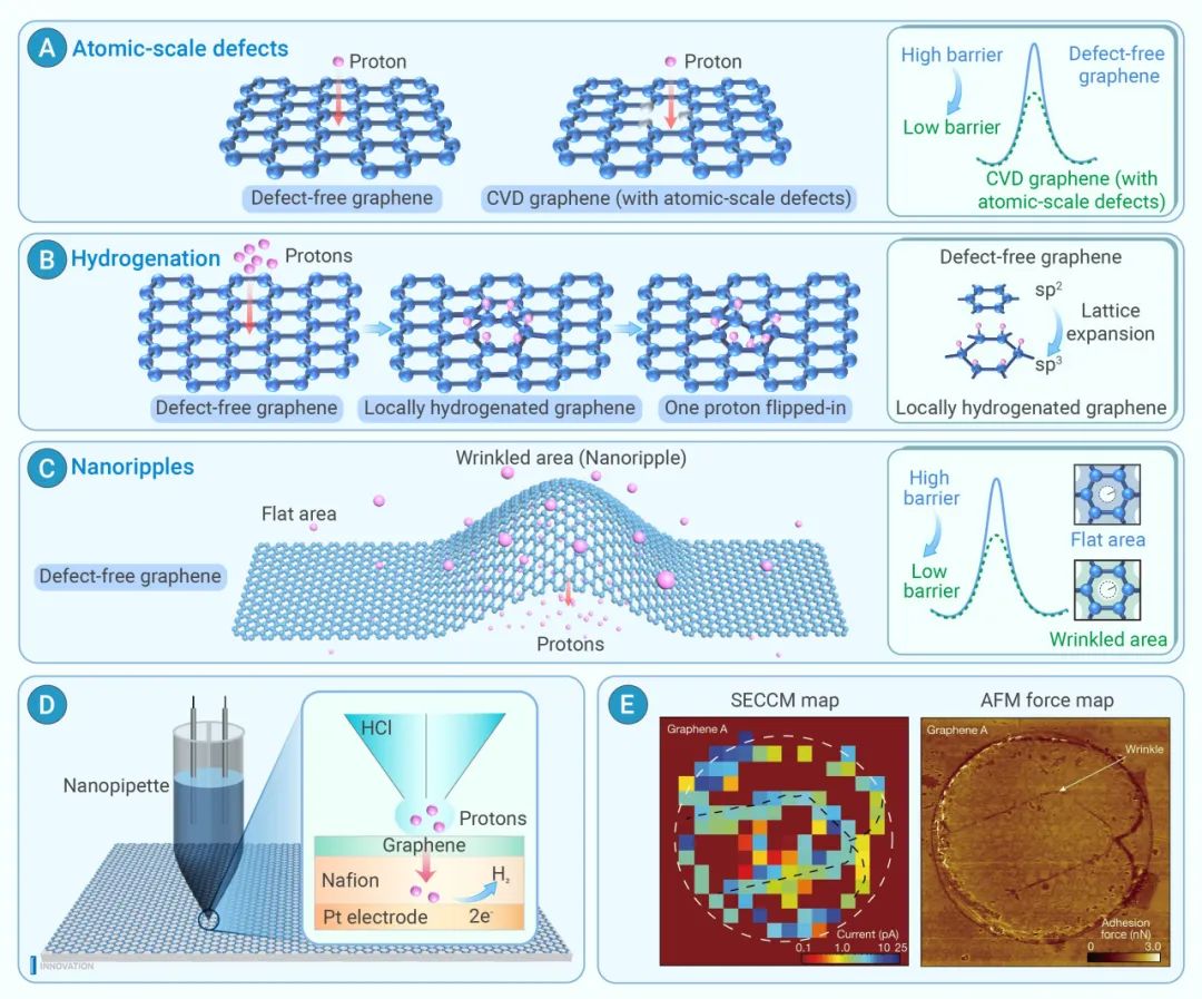 The Innovation Materials | 石墨烯表面的纳米级褶皱：促进质子透过的特殊结构