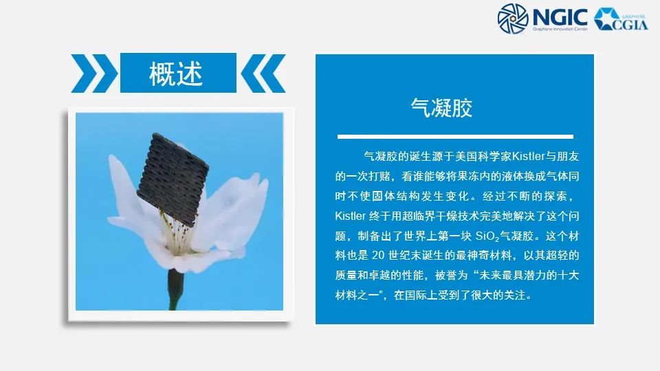 标准研究 | 石墨烯气凝胶粉体材料标准研讨会成功举办