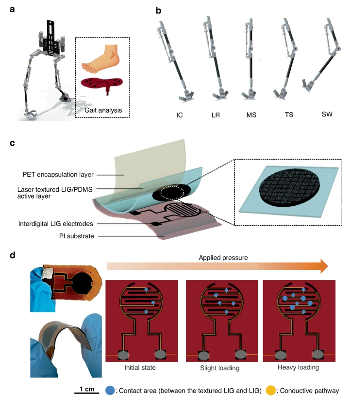 浙江大学：基于石墨烯的可穿戴步态识别传感器系统，用于外骨骼机器人的应用
