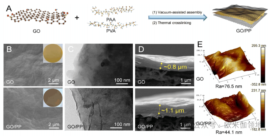 欧米伽微综述|Nat. Commun., ES&T|功能化氧化石墨烯膜在分离中的应用