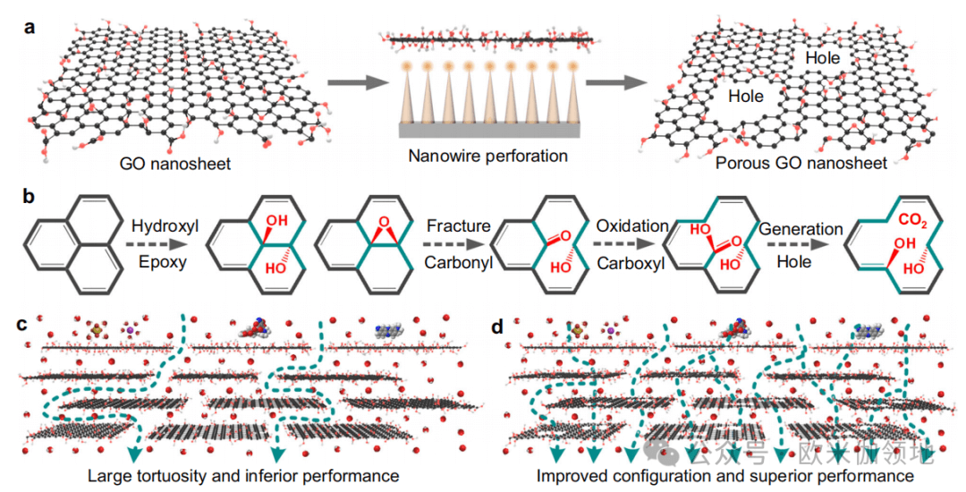 欧米伽微综述|Nat. Commun., ES&T|功能化氧化石墨烯膜在分离中的应用