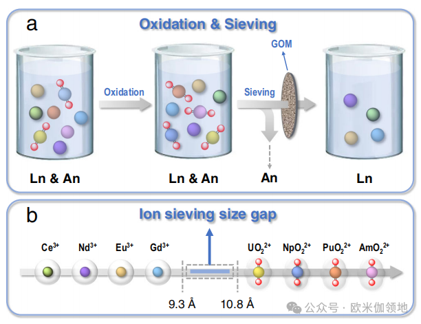 欧米伽微综述|Nat. Commun., ES&T|功能化氧化石墨烯膜在分离中的应用