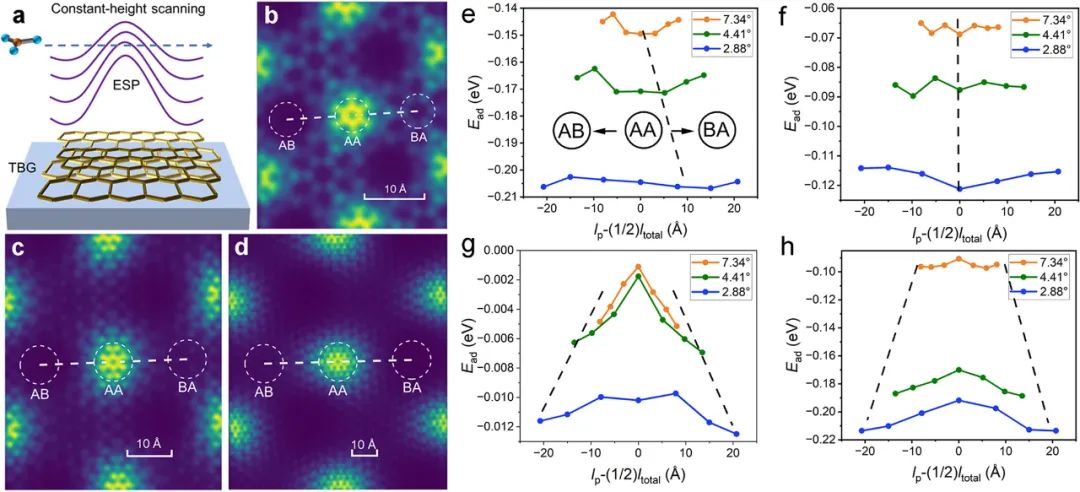 (纯计算)中国科学技术大学杨金龙/胡伟团队Nano Lett.: 转角双层石墨烯上的量子转角扫描探针显微镜