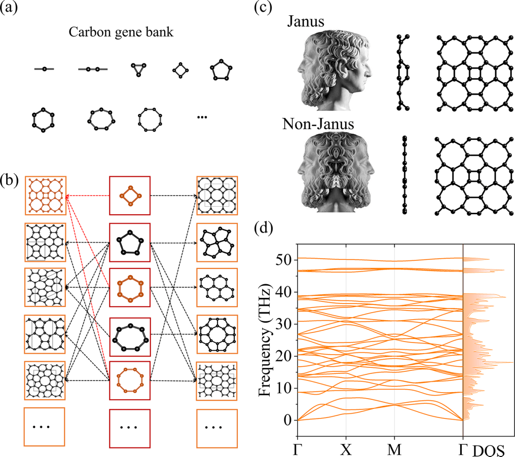 (纯计算)湖南大学秦光照团队Phys. Rev. B: Janus石墨烯: 一种非化学Janus构型的二维半拉胀碳同素异形体