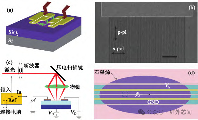综述：石墨烯/硅基异质集成光电子器件