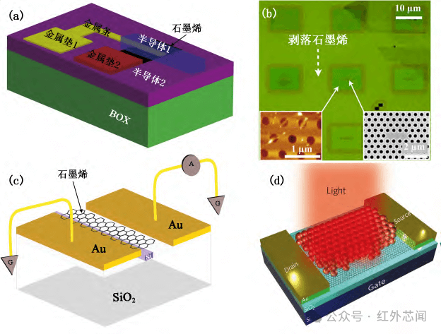 综述：石墨烯/硅基异质集成光电子器件