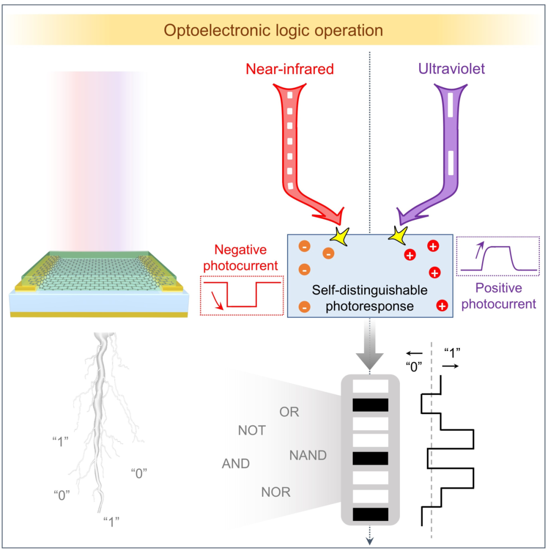 魏兴战/秦天石Device：一种响应波段自分辨的“全在一”光电逻辑器件 | Cell Press对话科学家