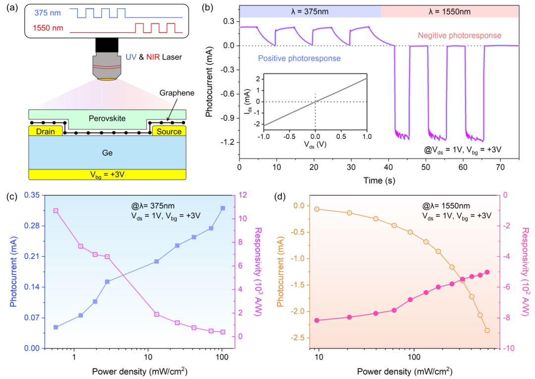 魏兴战/秦天石Device：一种响应波段自分辨的“全在一”光电逻辑器件 | Cell Press对话科学家