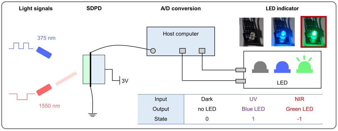 魏兴战/秦天石Device：一种响应波段自分辨的“全在一”光电逻辑器件 | Cell Press对话科学家